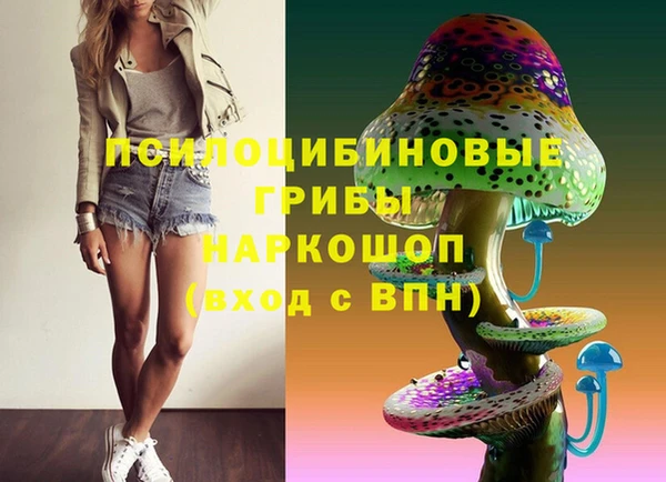 кокс Гусь-Хрустальный