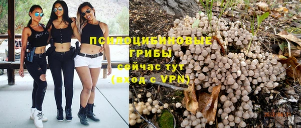 кокс Гусь-Хрустальный