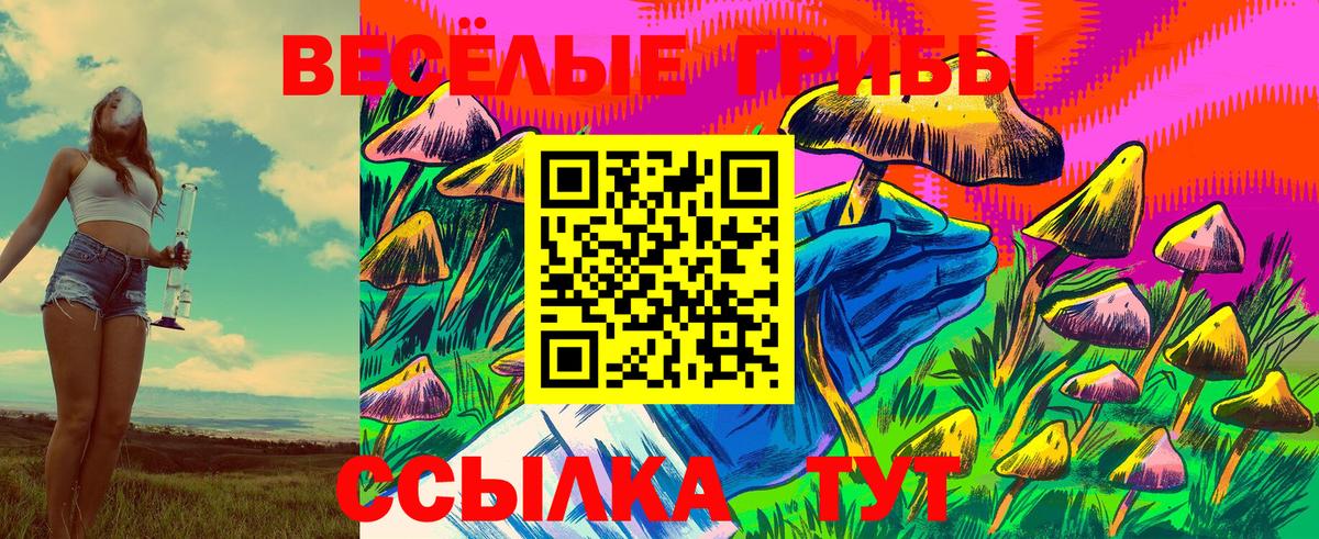 Каменск-Уральский  Галлюциногенные грибы ЛСД  Вход с VPN 