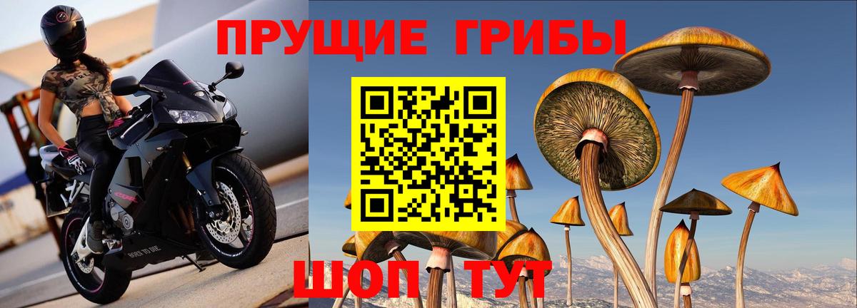 Псилоцибиновые грибы GOLDEN TEACHER Каменск-Уральский